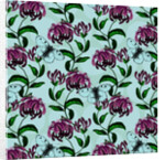 Honeysuckle with Clouded Apollo Butterfly, 2017 by Andrew Watson