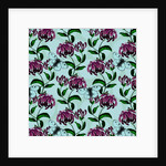 Honeysuckle with Clouded Apollo Butterfly, 2017 by Andrew Watson