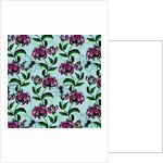 Honeysuckle with Clouded Apollo Butterfly, 2017 by Andrew Watson