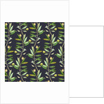 Olive branches, 2017 by Andrew Watson