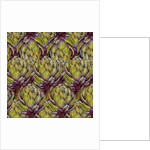 Globe artichoke heads, 2018 by Andrew Watson