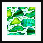 Tropical leaves, 2018 by Andrew Watson