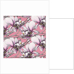 Magnolia, 2019 by Andrew Watson