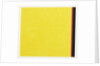 Go to Yellow, 2015 by Alex Dunn