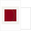 Segment, 2013 by Alex Dunn