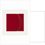 Segment, 2013 by Alex Dunn