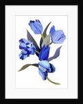Blue tulip, 2017 by Hiroyuki Izutsu