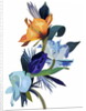 Light blue flowers and orange flowers by Hiroyuki Izutsu