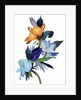 Light blue flowers and orange flowers by Hiroyuki Izutsu
