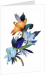 Light blue flowers and orange flowers by Hiroyuki Izutsu