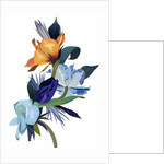 Light blue flowers and orange flowers by Hiroyuki Izutsu