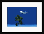 Airplane and palm tree, 2016 by Hiroyuki Izutsu