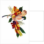 Tulip parrot1 by Hiroyuki Izutsu