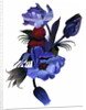 Deep blue tulips 2003 by Hiroyuki Izutsu