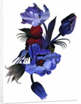 Deep blue tulips 2003 by Hiroyuki Izutsu