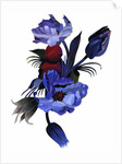 Deep blue tulips 2003 by Hiroyuki Izutsu