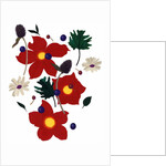 A flower that makes you imagine Christmas2 by Hiroyuki Izutsu