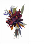 Wild Dahlia, 2003 by Hiroyuki Izutsu