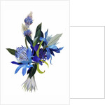 An imaginary flower with a blue base, 2003 by Hiroyuki Izutsu