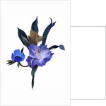 Imaginary flowers 2, 2004 by Hiroyuki Izutsu