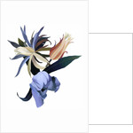 Imaginary flowers based on tulips, 2003 by Hiroyuki Izutsu