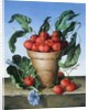Cherries in terracotta with blue flower by Amelia Kleiser