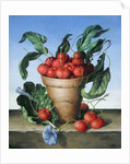 Cherries in terracotta with blue flower by Amelia Kleiser