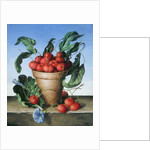 Cherries in terracotta with blue flower by Amelia Kleiser