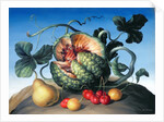 Melon on a mountain by Amelia Kleiser