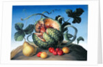 Melon on a mountain by Amelia Kleiser