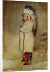 Knife Chief of the Pawnee Loups, 1821 by John Neagle