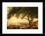 Penn's Treaty Tree by Thomas Birch