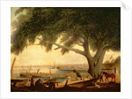 Penn's Treaty Tree by Thomas Birch