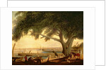 Penn's Treaty Tree by Thomas Birch