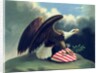 Bald Eagle and the Shield of the United States, c.1847 by David Bustill Bowser