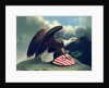 Bald Eagle and the Shield of the United States, c.1847 by David Bustill Bowser