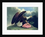 Bald Eagle and the Shield of the United States, c.1847 by David Bustill Bowser