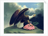 Bald Eagle and the Shield of the United States, c.1847 by David Bustill Bowser