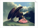 Bald Eagle and the Shield of the United States, c.1847 by David Bustill Bowser
