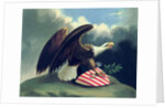Bald Eagle and the Shield of the United States, c.1847 by David Bustill Bowser