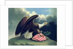 Bald Eagle and the Shield of the United States, c.1847 by David Bustill Bowser