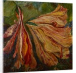 Hibiscus Wilt, 2017 by jocasta shakespeare