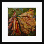 Hibiscus Wilt, 2017 by jocasta shakespeare