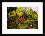 rhubarb, 2016 by jocasta shakespeare
