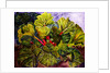 rhubarb, 2016 by jocasta shakespeare