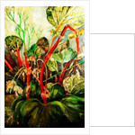 Flowering Rhubarb, 2018 by jocasta shakespeare