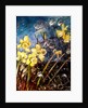 wild daffodils, 2018 by jocasta shakespeare