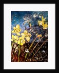 wild daffodils, 2018 by jocasta shakespeare