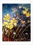 wild daffodils, 2018 by jocasta shakespeare