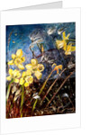 wild daffodils, 2018 by jocasta shakespeare